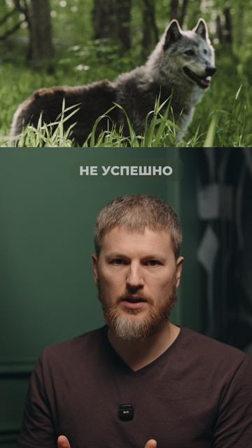 Витамины не уберут лишний вес