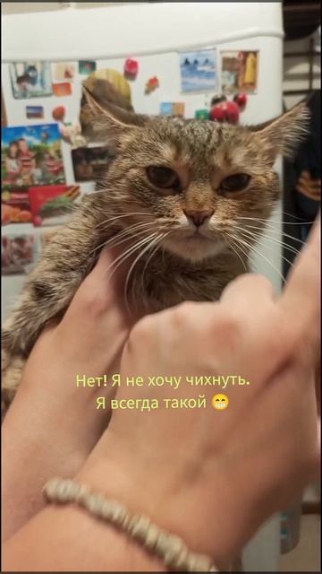Мася💖