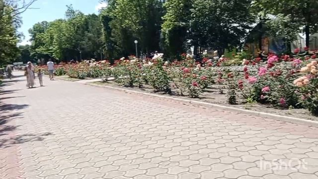 В Ейске+31☀️ Идём на праздник 🎉