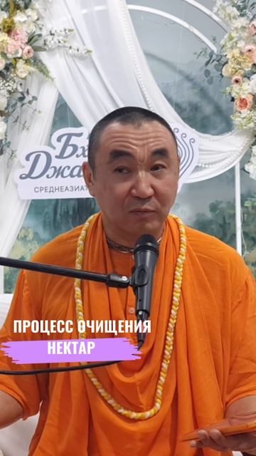 Процесс очищения - нектар. Е. С. Даяван Свами