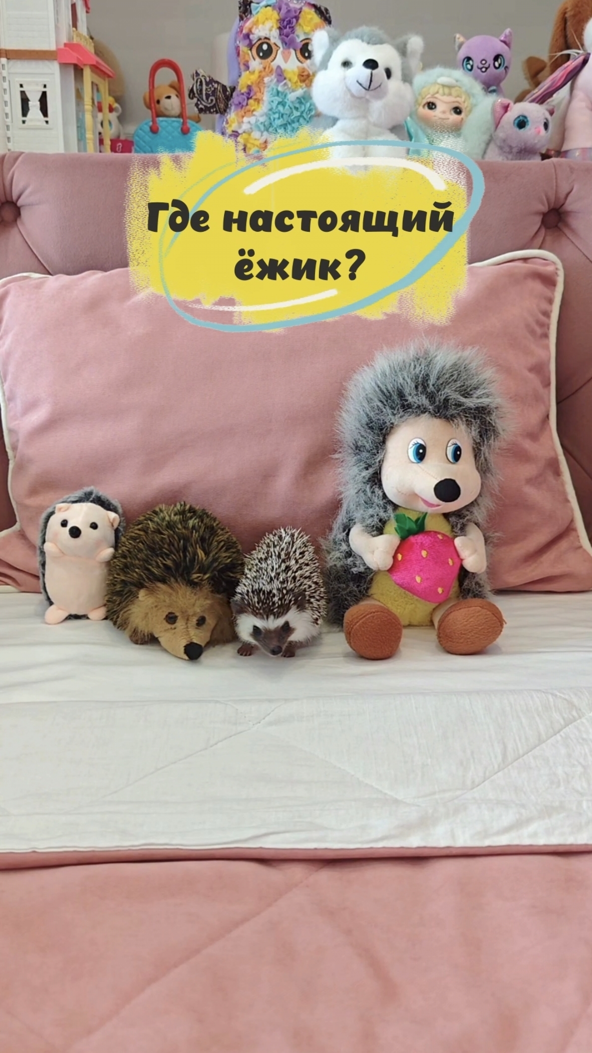 Где настоящий ёжик?