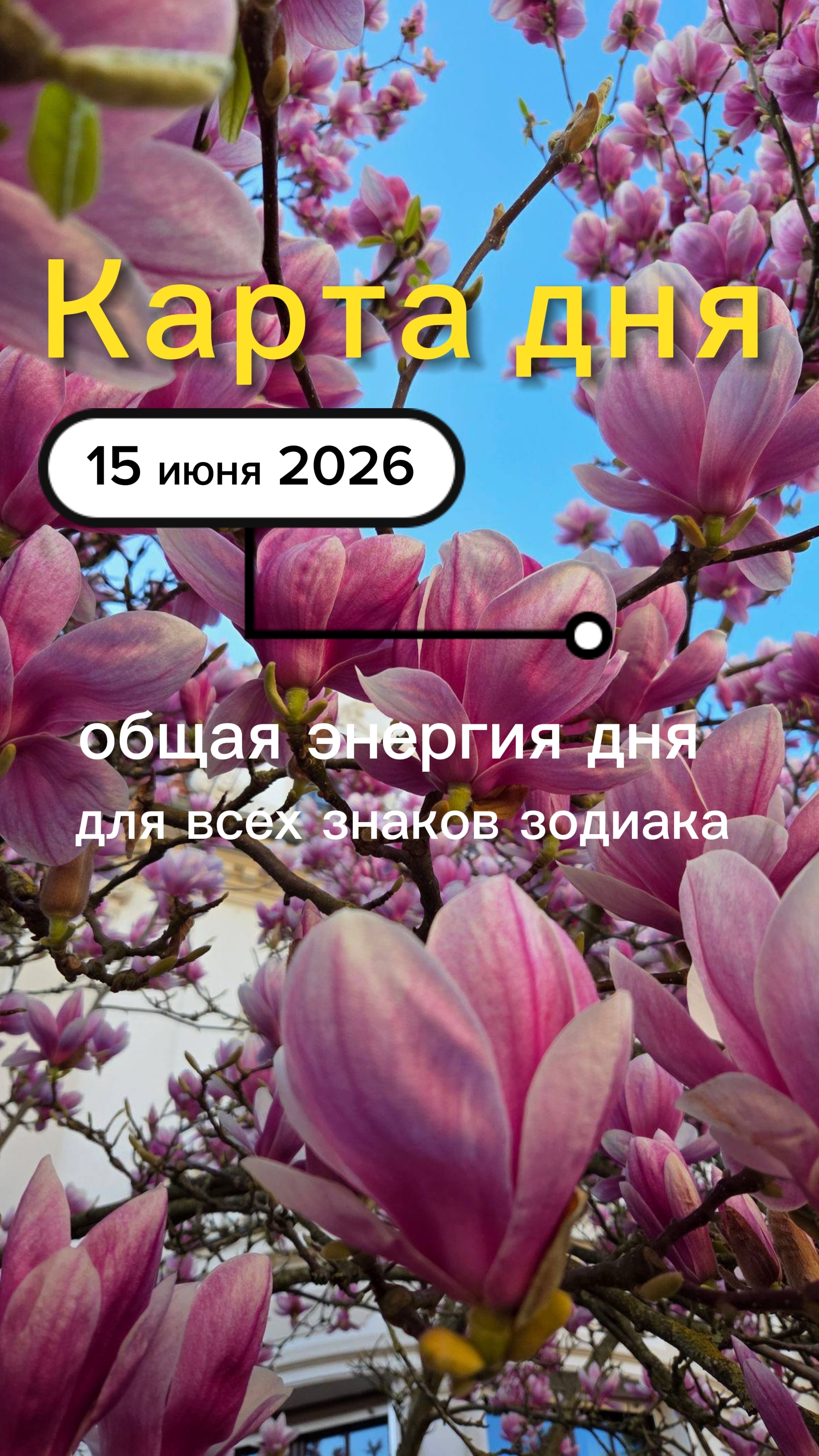Карта общего фона на  15-06-2026. Понедельник