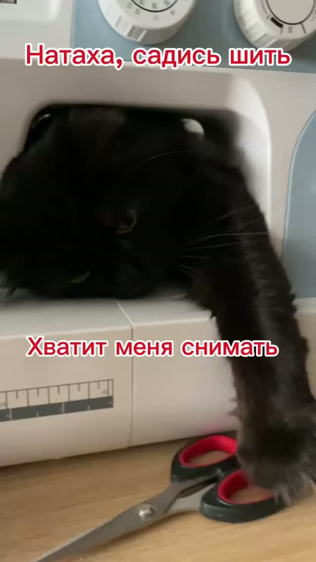 Натаха, садись уже шить