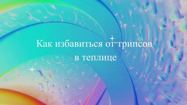 Как избавиться от трипсов в теплице
