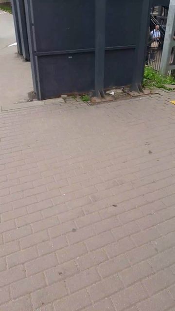 #сходняд3еду
