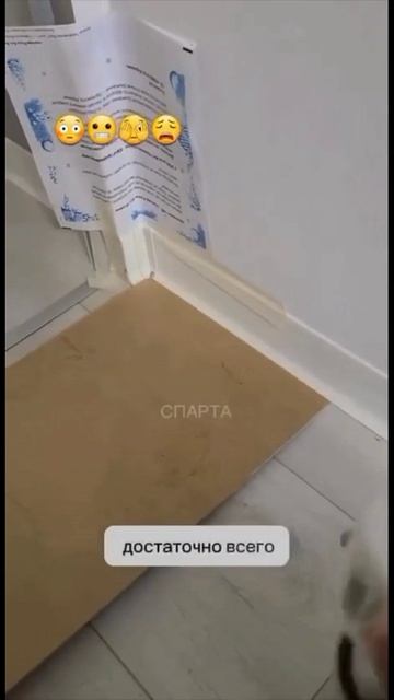 Лайфхак+