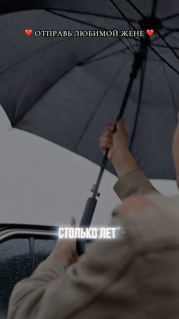 Любимая жена -31