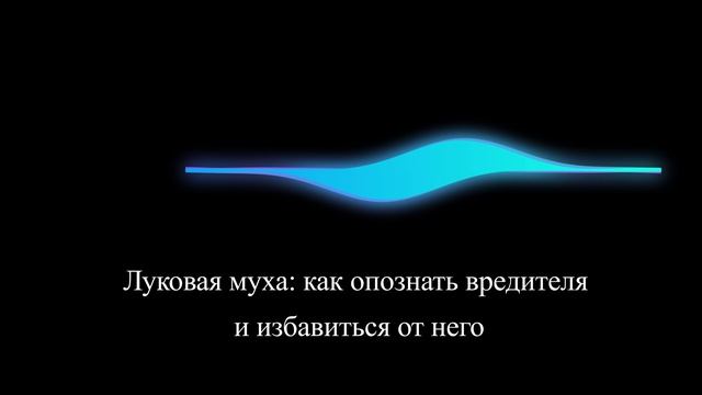 Луковая муха: как опознать вредителя и избавиться от него