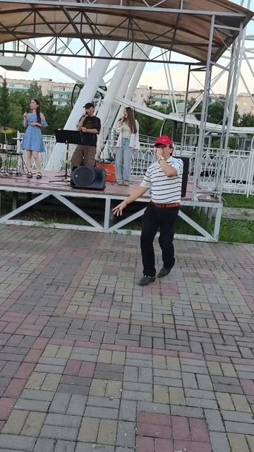 Летели.Метели .