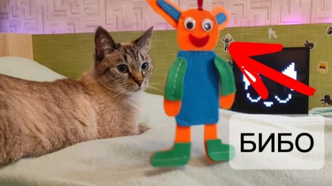 🤓🙀😸Встреча Акселя с мистером БИБО!🤟😼🤠