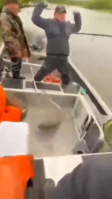 Видео от За Трофеем: Охота и Рыбалка