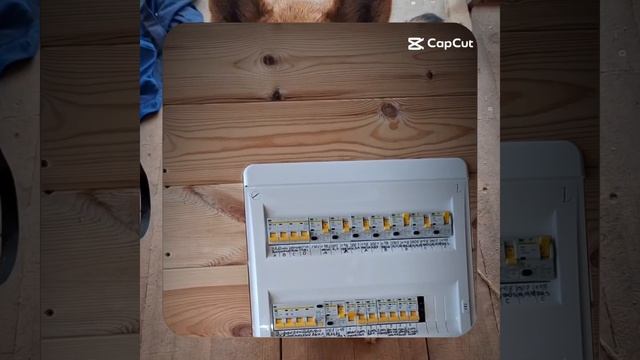 1000061938.mp4 (Собака наблюдает за обозначениями в электрическом щите в доме А-фрейм)