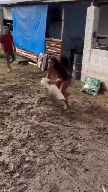 Разборки барана  с жинщинами