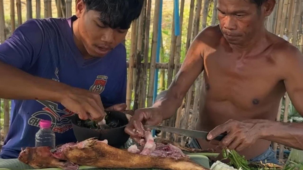 Поимка дикого кролика в поле и приготовление редкого жареного кроличьего мяса
