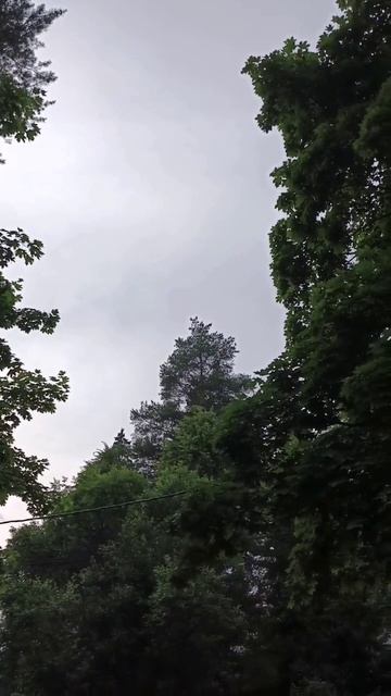 2 часть. Самолёты с дачи