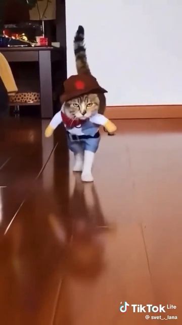 Юмор