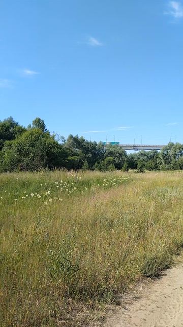 Через мост фура торопиться.р Ока.