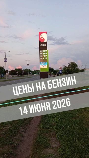 Цены на бензин 14 июня 2026