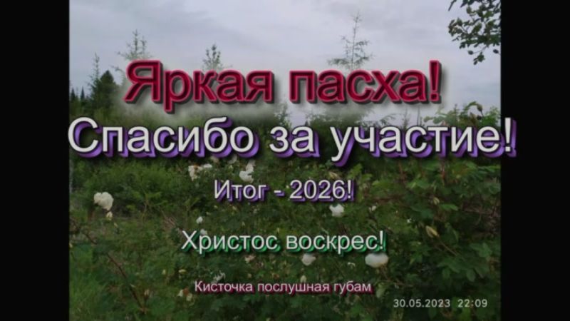 Яркая пасха! Спасибо за участие! Итог - 2026.