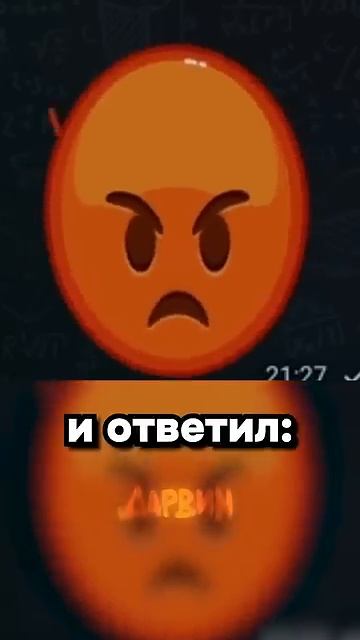 После этого акции Теслы выросли на 4%