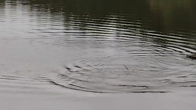 1000047949.mp4