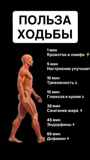 Польза ходьбы