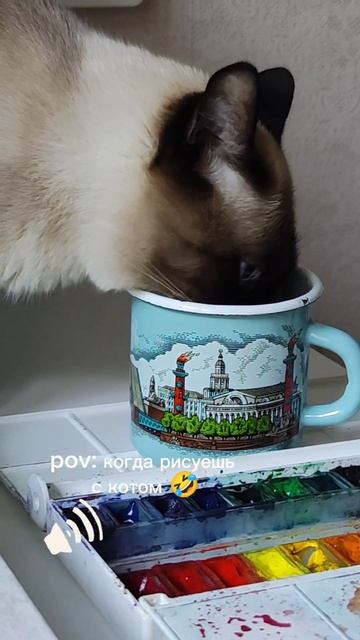 Когда рисуешь с котом 🤣 
#кот #юмор #животные