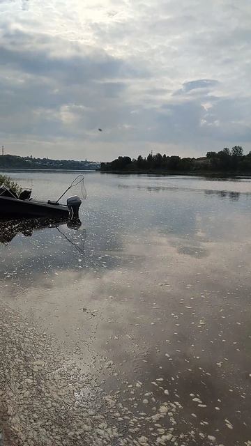 Лодка рыбака! р Ока.