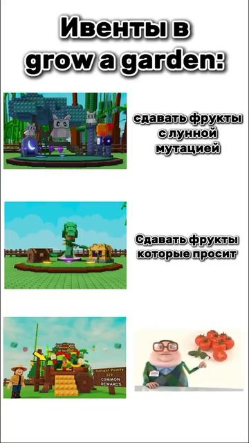 помидор ивет вырасти сад