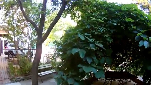 База отдыха Прибой Саки. Летние домики Тани и Юры.