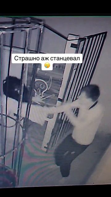 Станцевал аж