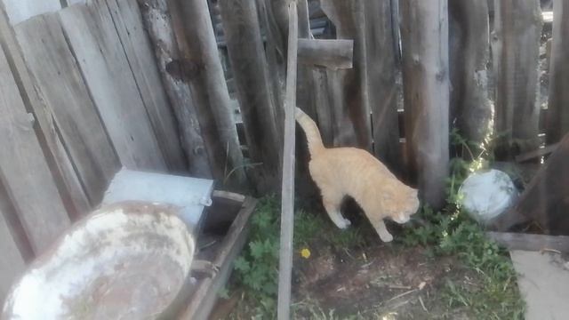деревня,