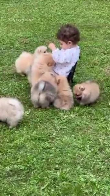 YouCut_20260615_162739432.mp4