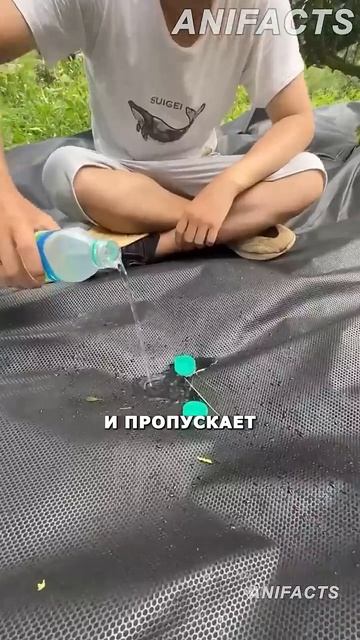 Полотно от сорняков