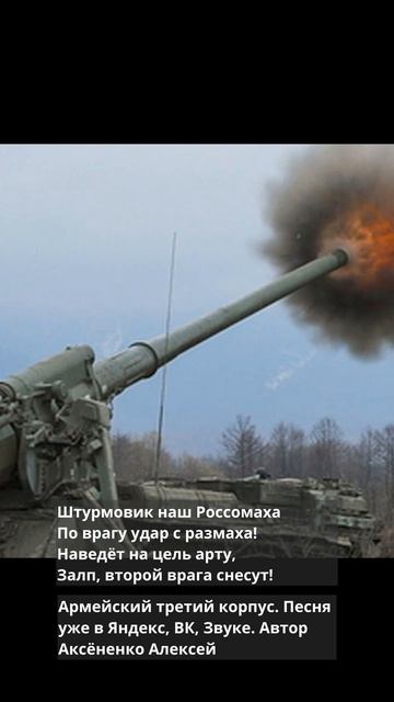 Армейский третий корпус 1 (8)