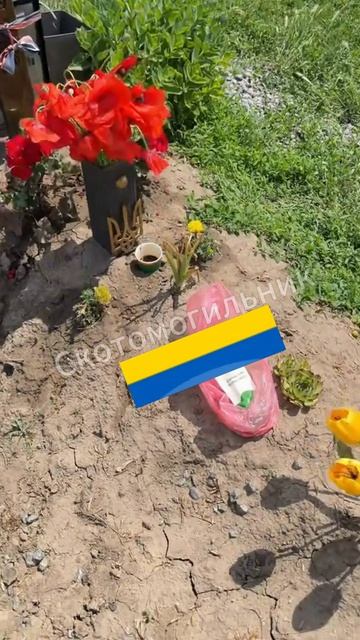 🔴Свиньи, или позорники?🔴