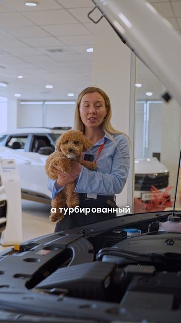 Машина нужна на каждый день, а не для спонсирования заправок? Тогда Belgee Х50+ — ваш вариант!