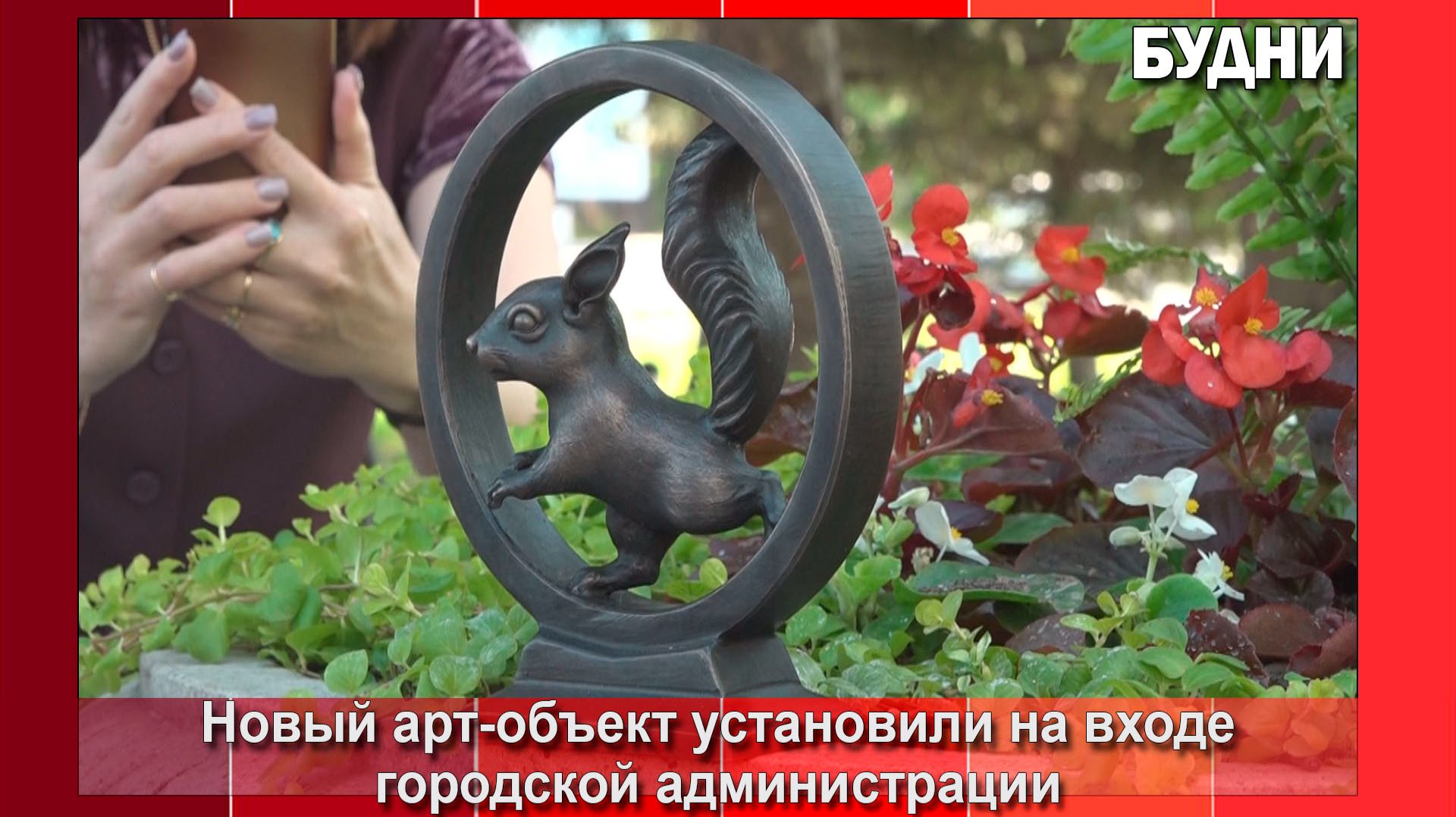 В Белогорске установили белку в колесе