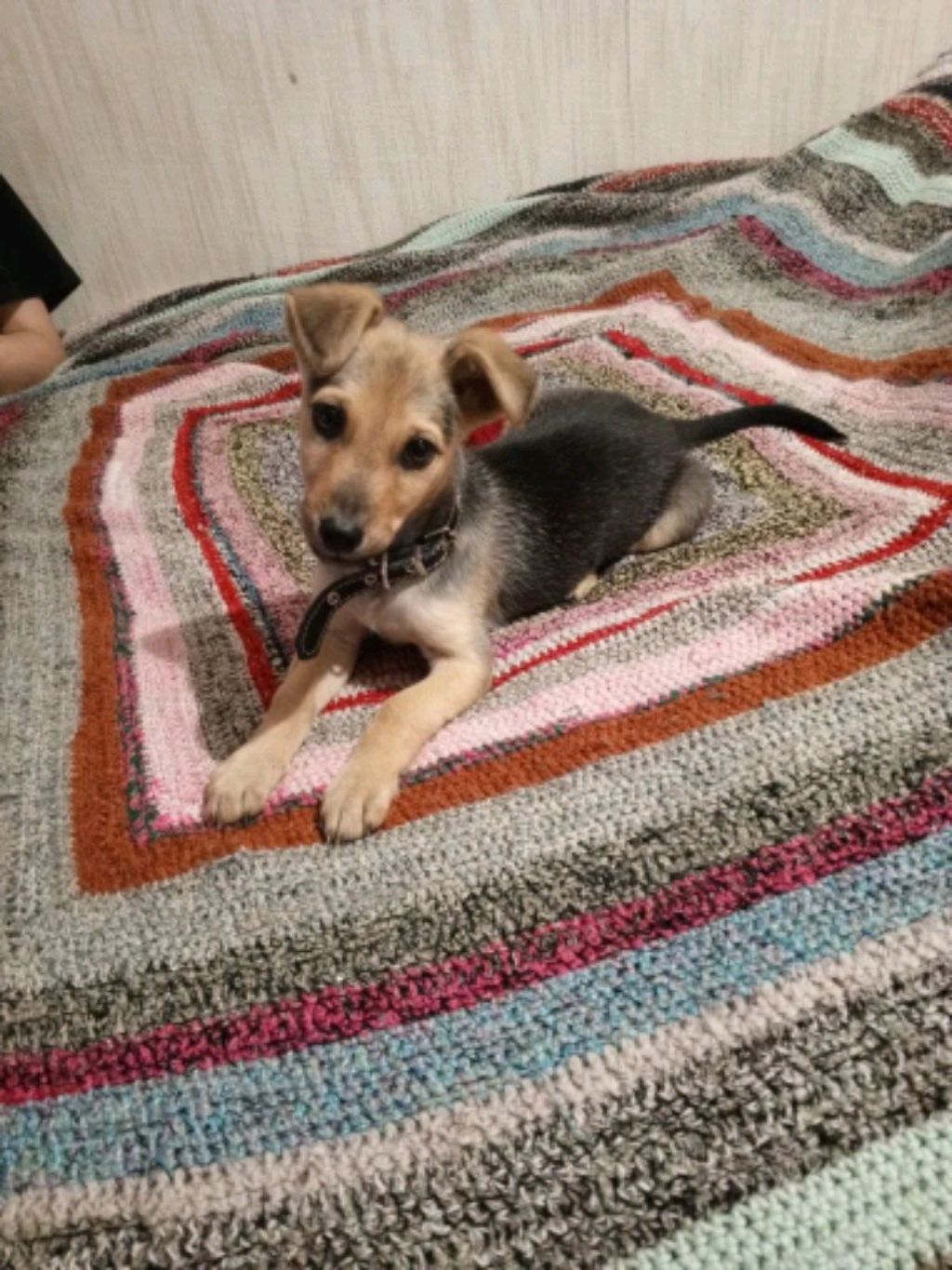 справедливый Владимир