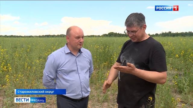 Эфир от 14.06.2026 (14:30)