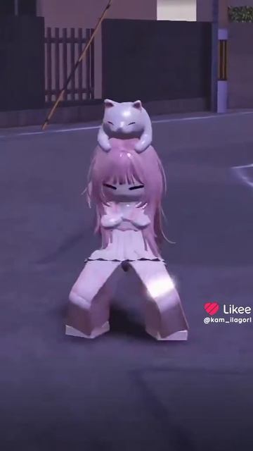 3074.mp4