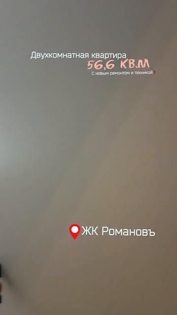 16080963832494