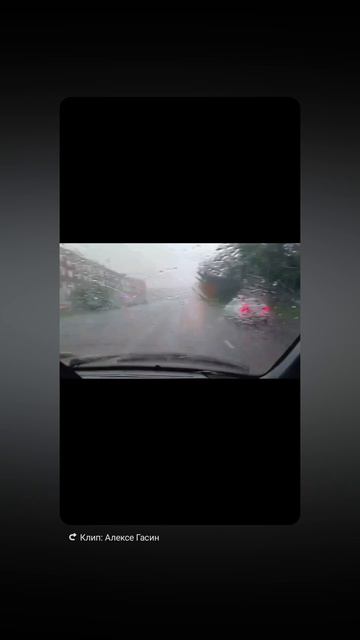1000003146.mp4р