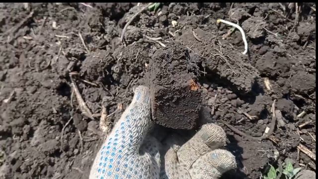 Её Величество 