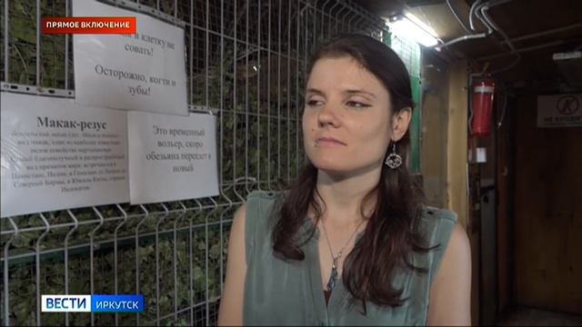 Прямое включение: в Иркутском зоосаде появились две макаки разных видов