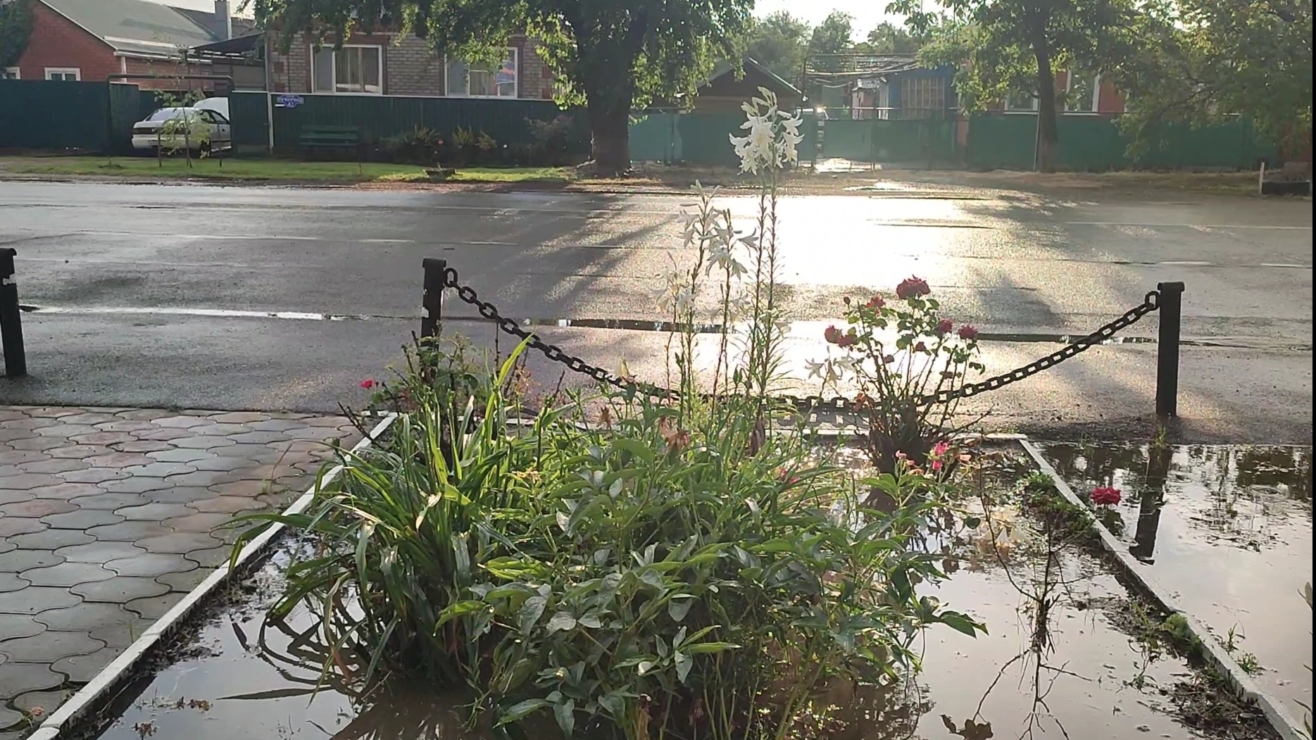 Кубань попала в немилость...