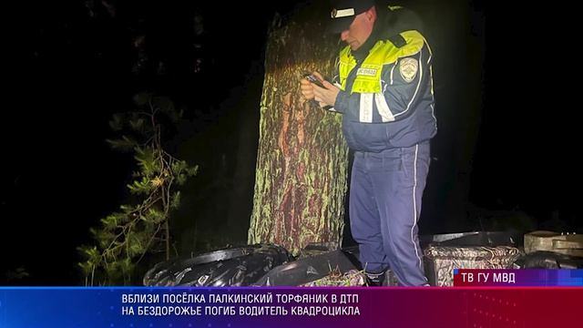 Вблизи посёлка Палкинский торфяник в ДТП на бездорожье погиб водитель квадроцикла