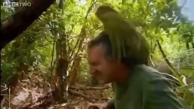 Всё что шевелиться)!!!