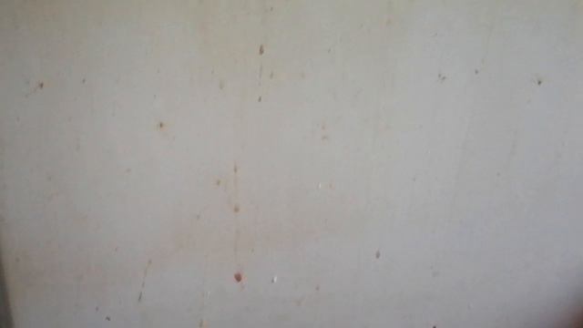 VID_20260609_202309.mp4