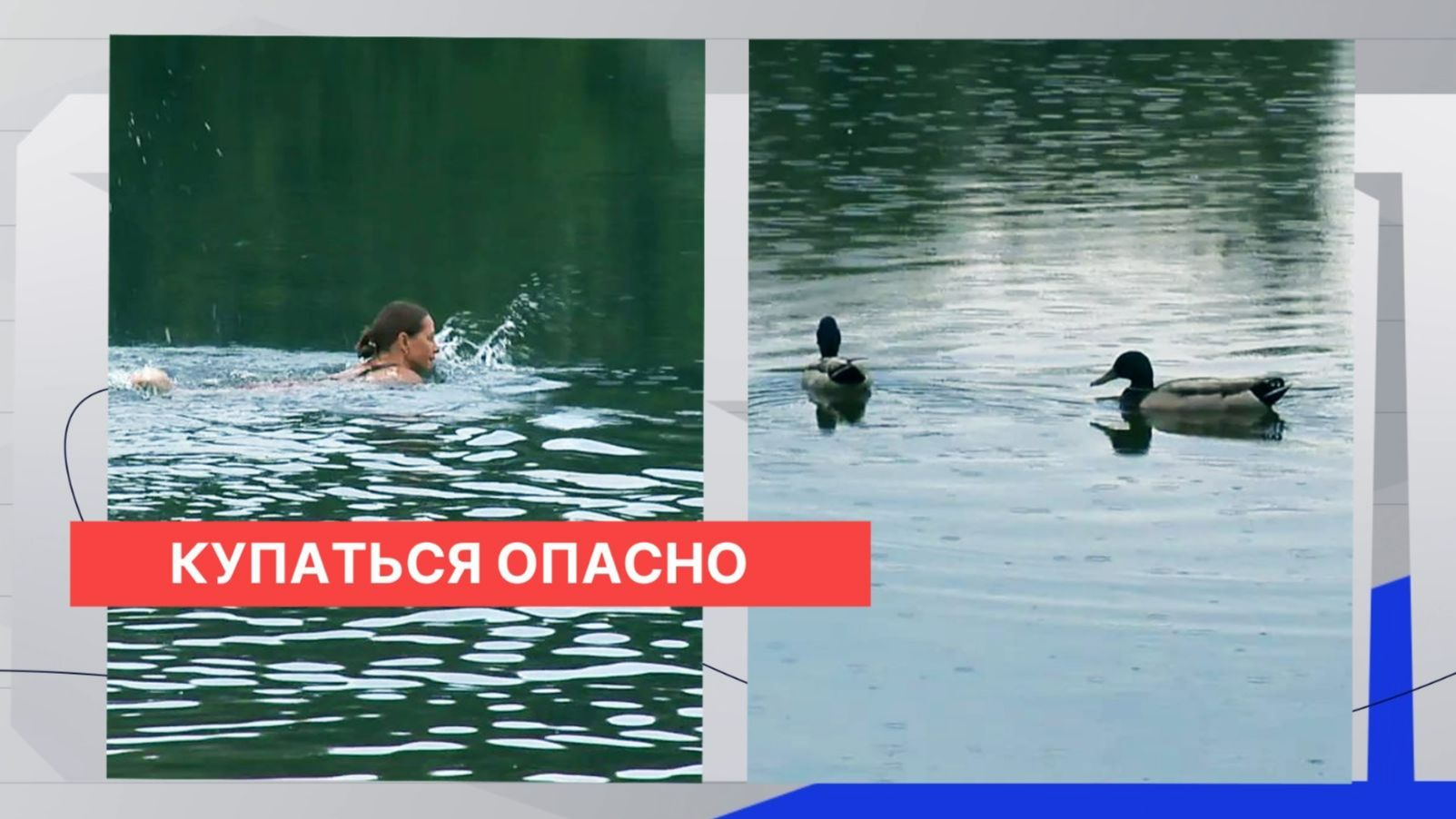 Брошенное без очистки Мещерское озеро заметно мелеет и грозит превратиться в болото